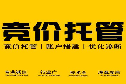 某行业SEM竞价专员的成功策略与经典案例